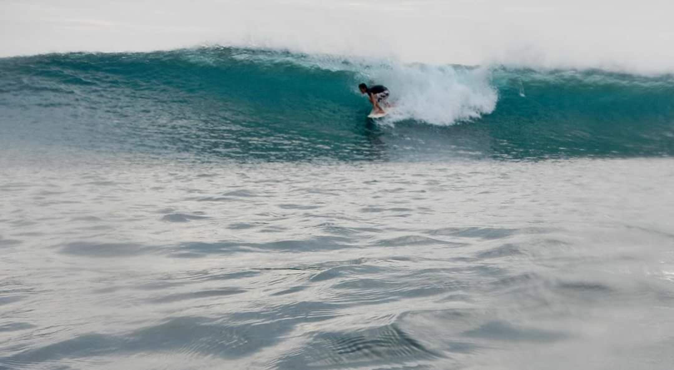 gallery/Surving Facility